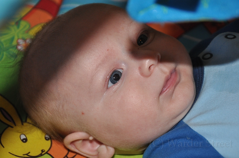 William's Tenth Week 10.jpg